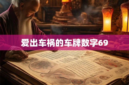 爱出车祸的车牌数字69