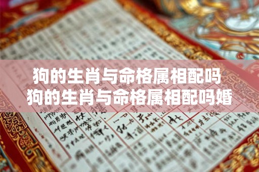 狗的生肖与命格属相配吗 狗的生肖与命格属相配吗婚姻如何 狗的生肖与命格属相配吗 狗的生肖与命格属相配吗婚姻如何