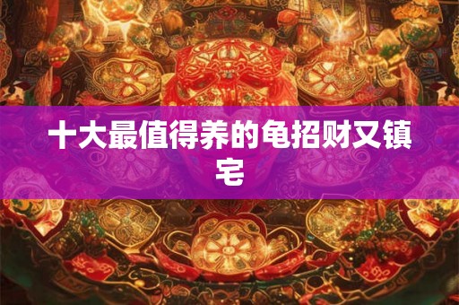 十大最值得养的龟招财又镇宅 十大最值得养的龟招财又镇宅