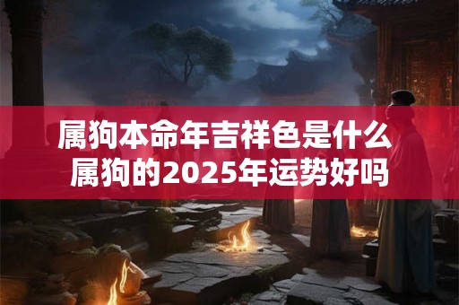 属狗本命年吉祥色是什么 属狗的2025年运势好吗