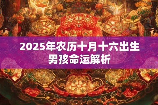2025年农历十月十六出生男孩命运解析