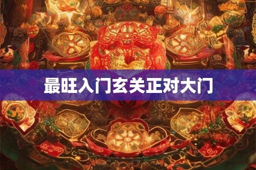 最旺入门玄关正对大门