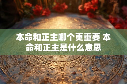 本命和正主哪个更重要 本命和正主是什么意思 本命和正主哪个更重要 本命和正主是什么意思