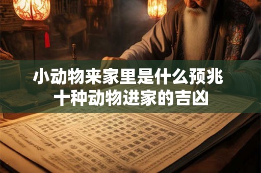 小动物来家里是什么预兆 十种动物进家的吉凶 小动物来家里是什么预兆 十种动物进家的吉凶