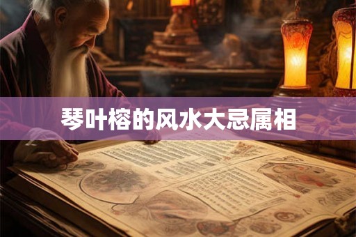 琴叶榕的风水大忌属相 琴叶榕的风水大忌属相