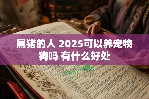 属猪的人 2025可以养宠物狗吗 有什么好处 属猪的人 2025可以养宠物狗吗 有什么好处