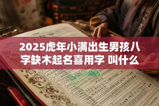 2025虎年小满出生男孩八字缺木起名喜用字 叫什么好 2025虎年小满出生男孩八字缺木起名喜用字 叫什么好
