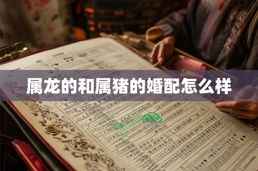 属龙的和属猪的婚配怎么样 属龙的和属猪的婚配怎么样