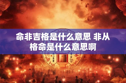 命非吉格是什么意思 非从格命是什么意思啊