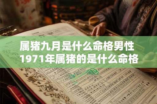 属猪九月是什么命格男性 1971年属猪的是什么命格的人