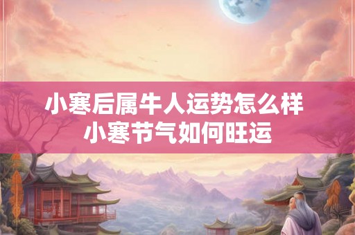 小寒后属牛人运势怎么样 小寒节气如何旺运