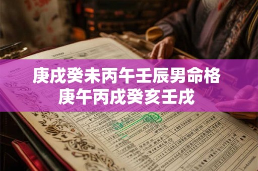 庚戌癸未丙午壬辰男命格 庚午丙戌癸亥壬戌 庚戌癸未丙午壬辰男命格 庚午丙戌癸亥壬戌