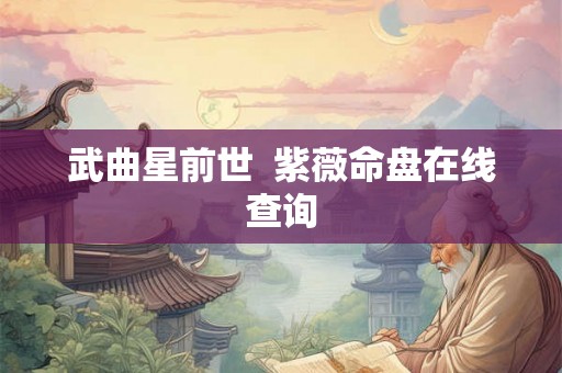 武曲星前世 紫薇命盘在线查询 武曲星前世 紫薇命盘在线查询