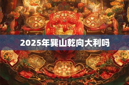 2025年巽山乾向大利吗 2025年巽山乾向大利吗