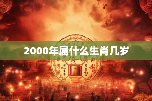 2000年属什么生肖几岁