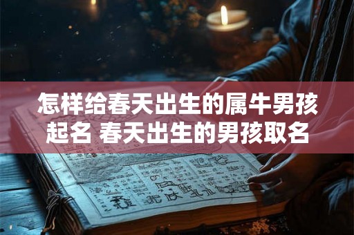 怎样给春天出生的属牛男孩起名 春天出生的男孩取名 怎样给春天出生的属牛男孩起名 春天出生的男孩取名
