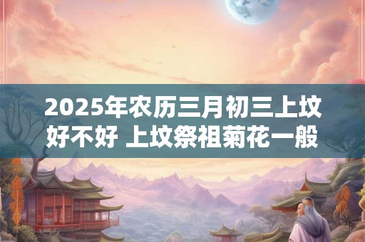 2025年农历三月初三上坟好不好 上坟祭祖菊花一般用几朵 2025年农历三月初三上坟好不好 上坟祭祖菊花一般用几朵