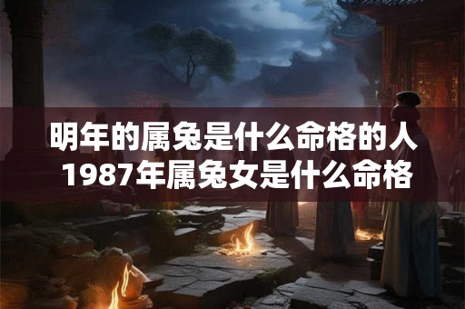 明年的属兔是什么命格的人 1987年属兔女是什么命格 明年的属兔是什么命格的人 1987年属兔女是什么命格