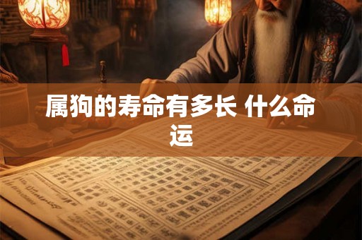 属狗的寿命有多长 什么命运 属狗的寿命有多长 什么命运