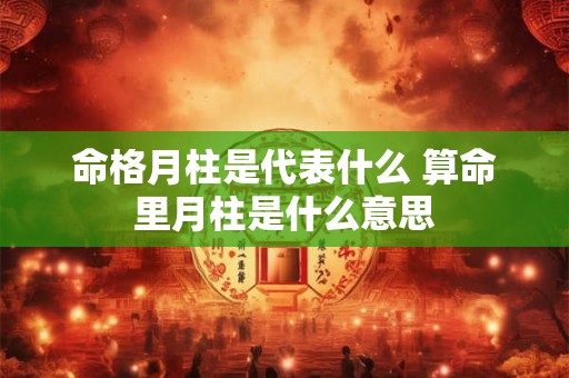 命格月柱是代表什么 算命里月柱是什么意思 命格月柱是代表什么 算命里月柱是什么意思