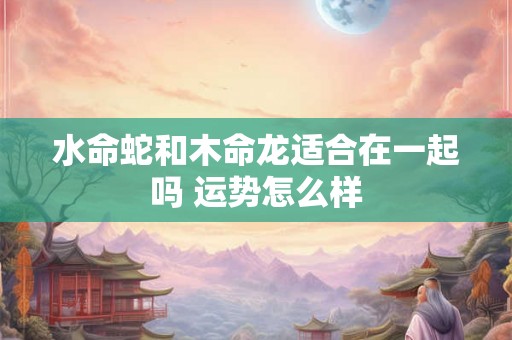 水命蛇和木命龙适合在一起吗 运势怎么样