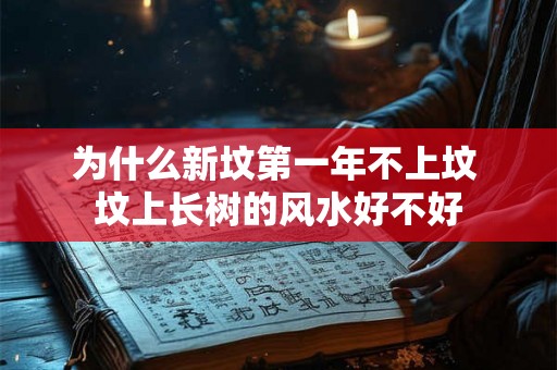 为什么新坟第一年不上坟 坟上长树的风水好不好