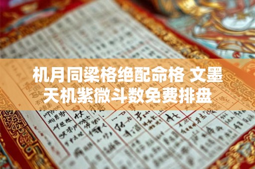 机月同梁格绝配命格 文墨天机紫微斗数免费排盘 机月同梁格绝配命格 文墨天机紫微斗数免费排盘