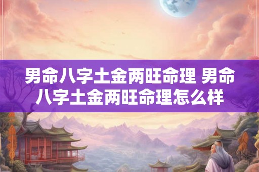 男命八字土金两旺命理 男命八字土金两旺命理怎么样 男命八字土金两旺命理 男命八字土金两旺命理怎么样