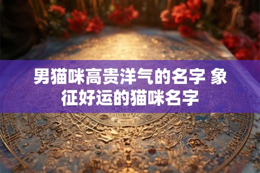 男猫咪高贵洋气的名字 象征好运的猫咪名字 男猫咪高贵洋气的名字 象征好运的猫咪名字