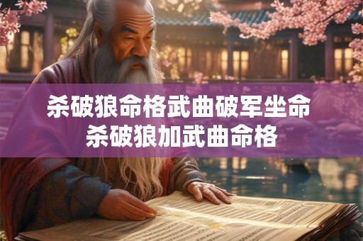 杀破狼命格武曲破军坐命 杀破狼加武曲命格 杀破狼命格武曲破军坐命 杀破狼加武曲命格
