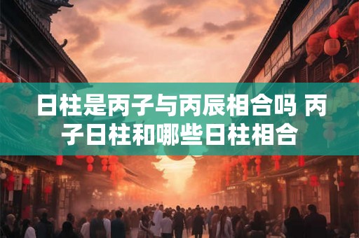 日柱是丙子与丙辰相合吗 丙子日柱和哪些日柱相合