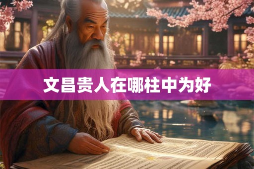 文昌贵人在哪柱中为好 文昌贵人在哪柱中为好