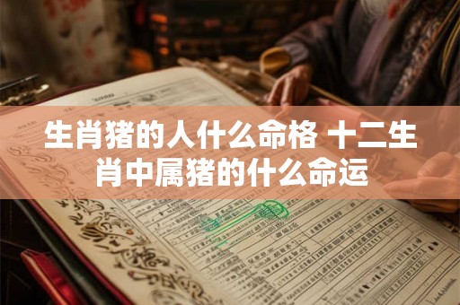 生肖猪的人什么命格 十二生肖中属猪的什么命运 生肖猪的人什么命格 十二生肖中属猪的什么命运