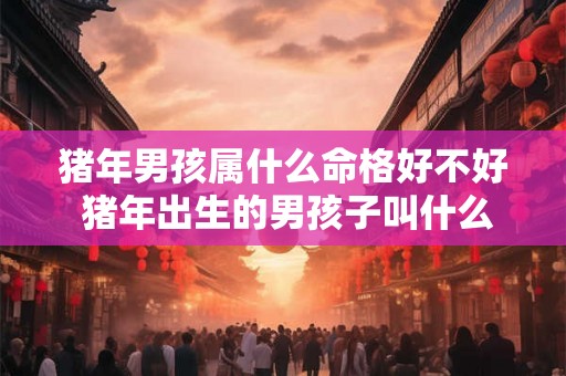 猪年男孩属什么命格好不好 猪年出生的男孩子叫什么名字好 猪年男孩属什么命格好不好 猪年出生的男孩子叫什么名字好