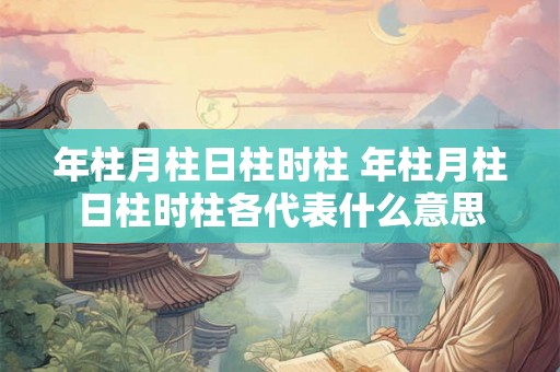 年柱月柱日柱时柱 年柱月柱日柱时柱各代表什么意思