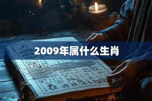 2009年属什么生肖 2009年属什么生肖