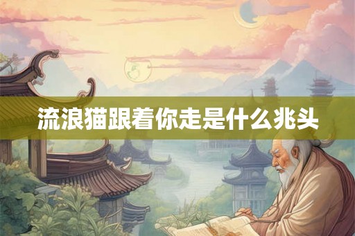 流浪猫跟着你走是什么兆头 流浪猫跟着你走是什么兆头