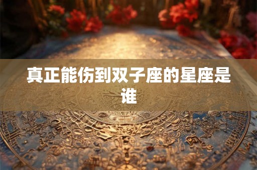 真正能伤到双子座的星座是谁 真正能伤到双子座的星座是谁