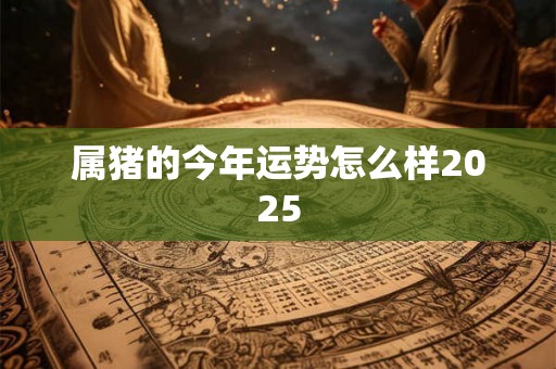 属猪的今年运势怎么样2025 属猪的今年运势怎么样2025