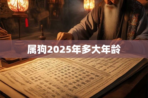属狗2025年多大年龄