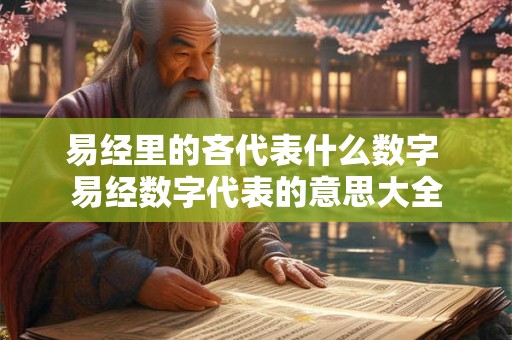 易经里的吝代表什么数字 易经数字代表的意思大全 易经里的吝代表什么数字 易经数字代表的意思大全