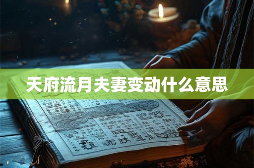 天府流月夫妻变动什么意思