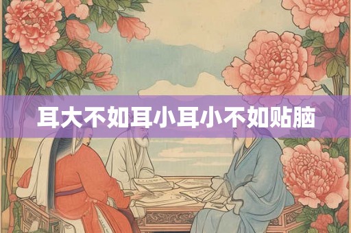 耳大不如耳小耳小不如贴脑 耳大不如耳小耳小不如贴脑
