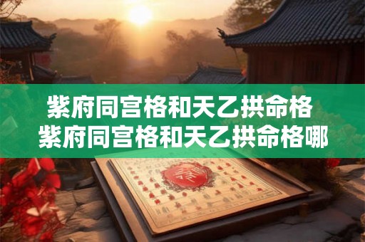 紫府同宫格和天乙拱命格 紫府同宫格和天乙拱命格哪个好