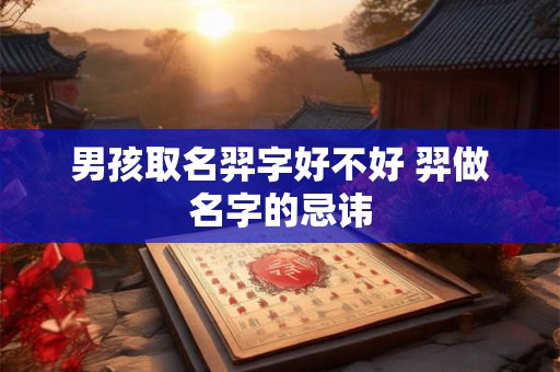 男孩取名羿字好不好 羿做名字的忌讳 男孩取名羿字好不好 羿做名字的忌讳
