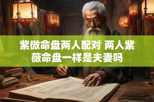 紫微命盘两人配对 两人紫薇命盘一样是夫妻吗