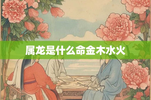 属龙是什么命金木水火 属龙是什么命金木水火