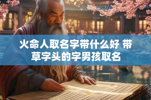 火命人取名字带什么好 带草字头的字男孩取名 火命人取名字带什么好 带草字头的字男孩取名