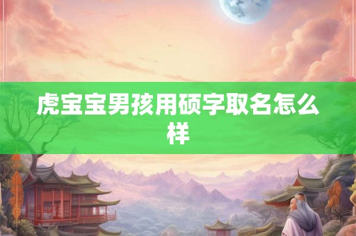 虎宝宝男孩用硕字取名怎么样