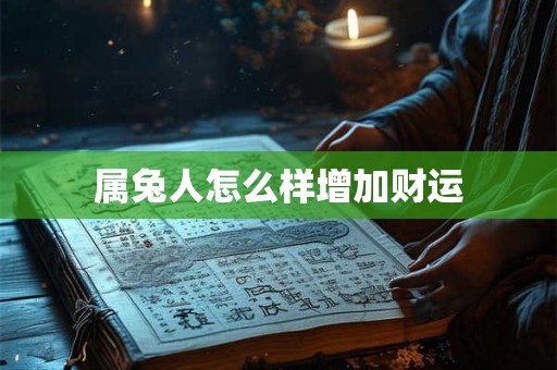属兔人怎么样增加财运
